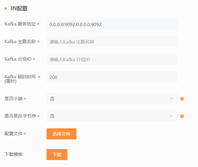 DIP实例 IN配置